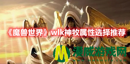 魔兽世界wlk神牧属性怎么选 魔兽世界wlk神牧属性选择推荐