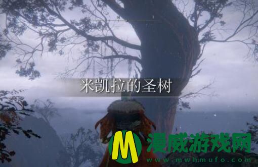 圣树秘密符节怎么用 艾尔登法环怎么去圣树