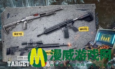 枪与射击目标战