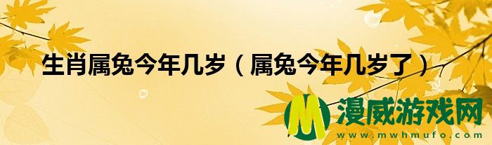 生肖属兔今年几岁