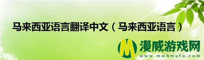 马来西亚语言翻译中文（马来西亚语言）