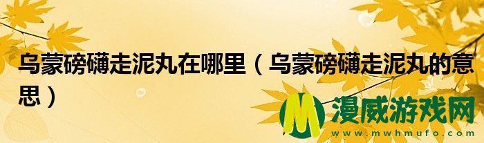 乌蒙磅礴走泥丸在哪里（乌蒙磅礴走泥丸的意思）