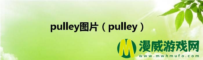 pulley图片