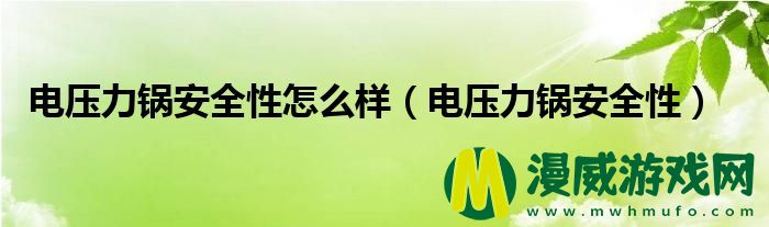 电压力锅安全性怎么样