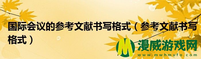 国际会议的参考文献书写格式（参考文献书写格式）