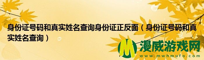 身份证号码和真实姓名查询身份证正反面