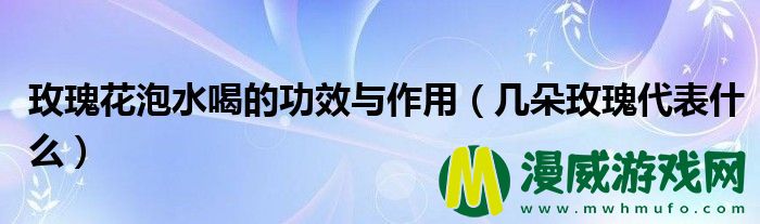 玫瑰花泡水喝的功效与作用（几朵玫瑰代表什么）