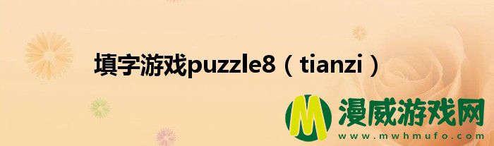 填字游戏puzzle8（tianzi）