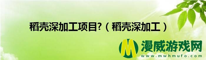 稻壳深加工项目?（稻壳深加工）