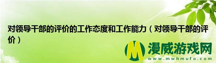 对领导干部的评价的工作态度和工作能力（对领导干部的评价）