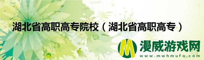 湖北省高职高专院校（湖北省高职高专）