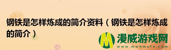 钢铁是怎样炼成的简介资料