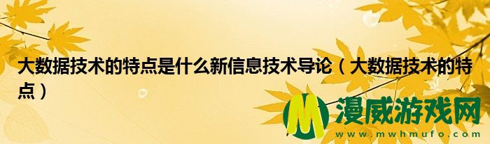 大数据技术的特点是什么新信息技术导论