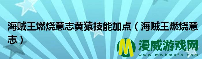 海贼王燃烧意志黄猿技能加点（海贼王燃烧意志）