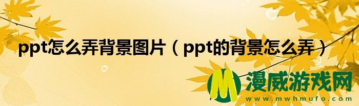 ppt怎么弄背景图片（ppt的背景怎么弄）