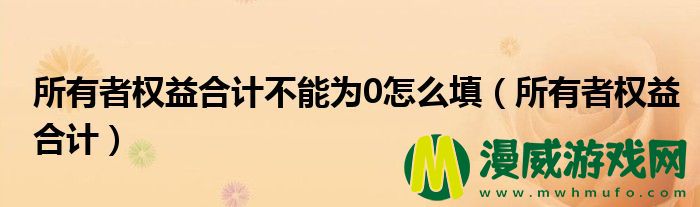 所有者权益合计不能为0怎么填