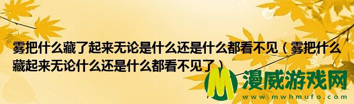 雾把什么藏了起来无论是什么还是什么都看不见（雾把什么藏起来无论什么还是什么都看不见了）