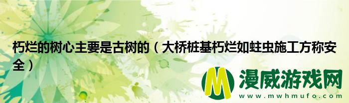 朽烂的树心主要是古树的（大桥桩基朽烂如蛀虫施工方称安全）