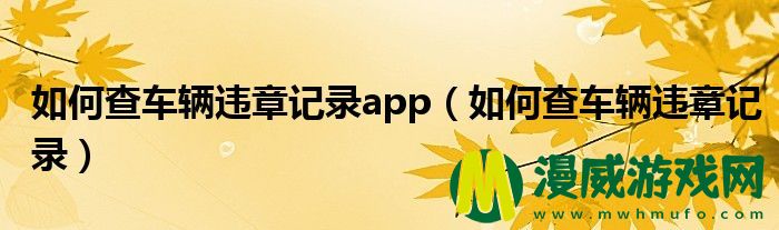 如何查车辆违章记录app