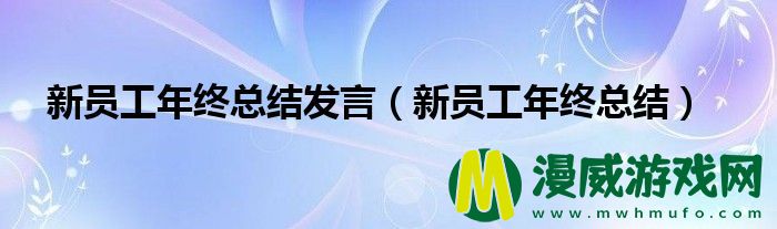 新员工年终总结发言（新员工年终总结）