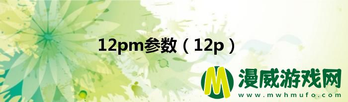 12pm参数（12p）