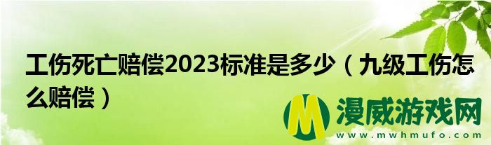 工伤死亡赔偿2023标准是多少（九级工伤怎么赔偿）