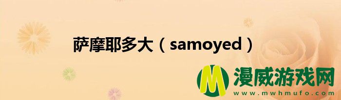 萨摩耶多大（samoyed）