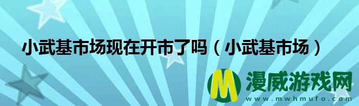 小武基市场现在开市了吗（小武基市场）