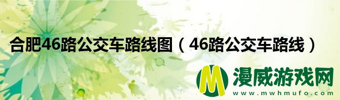 合肥46路公交车路线图（46路公交车路线）