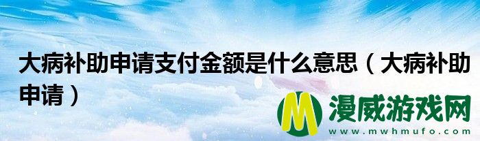 大病补助申请**
金额是什么意思