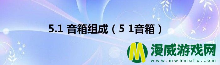 5.1 音箱组成（5 1音箱）