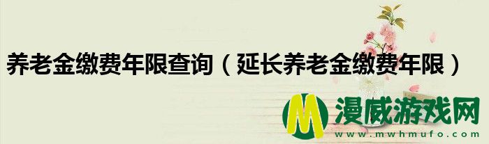 养老金缴费年限查询（延长养老金缴费年限）