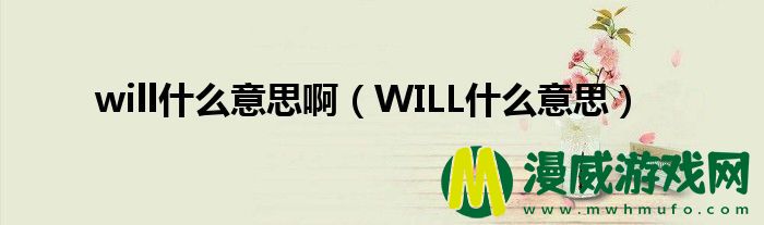 will什么意思啊（WILL什么意思）