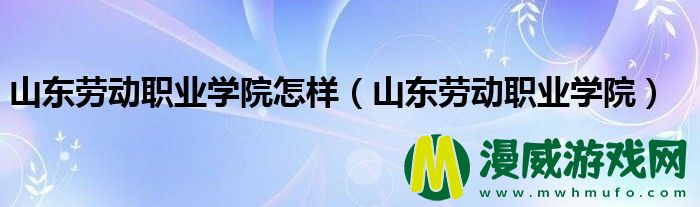 山东劳动职业学院怎样