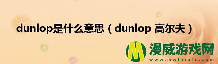 dunlop是什么意思