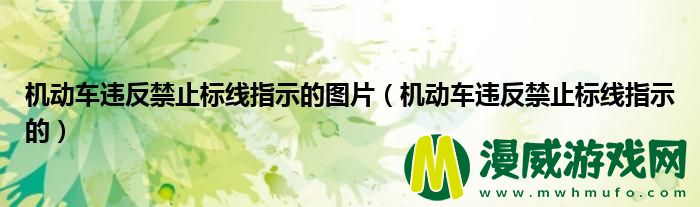 机动车违反禁止标线指示的图片（机动车违反禁止标线指示的）