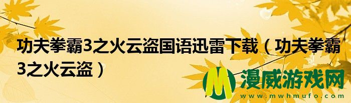 功夫拳霸3之火云盗国语迅雷下载