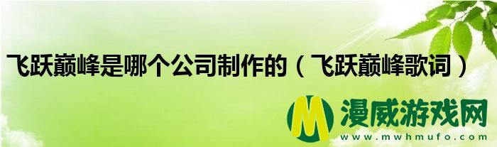 飞跃巅峰是哪个公司制作的