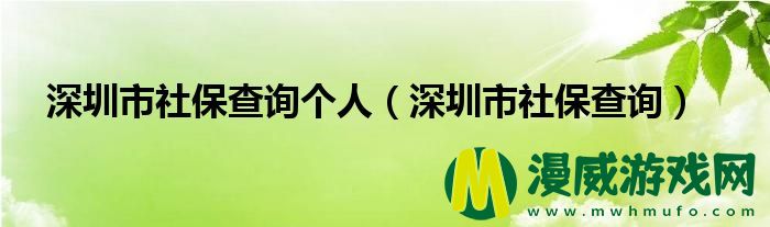 深圳市社保查询个人（深圳市社保查询）