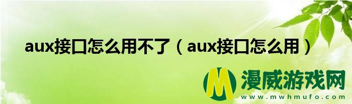 aux接口怎么用不了