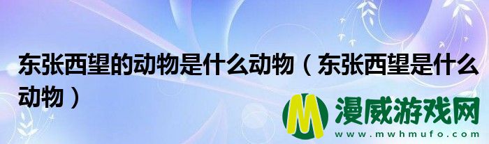 东张西望的动物是什么动物（东张西望是什么动物）