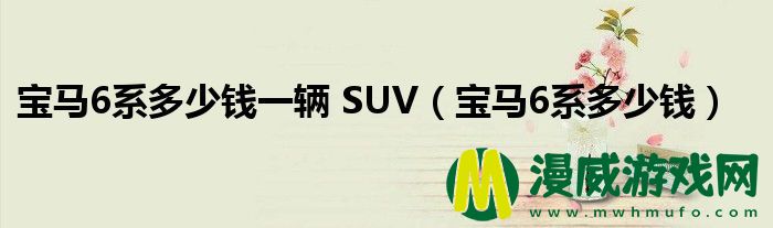 宝马6系多少钱一辆 SUV（宝马6系多少钱）