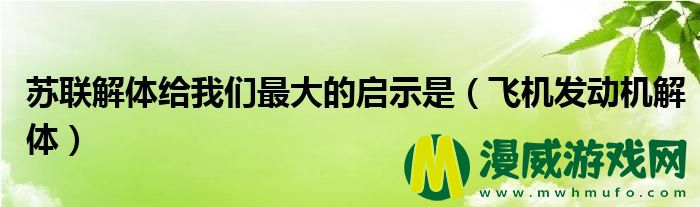 苏联解体给我们最大的启示是（飞机发动机解体）