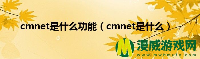 cmnet是什么功能