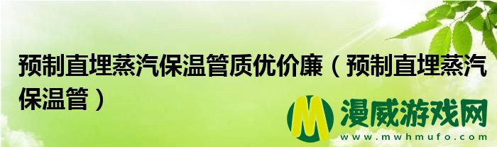 预制直埋蒸汽保温管质优价廉