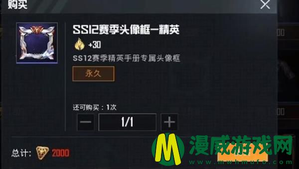 和平精英ss12特训套装怎么样