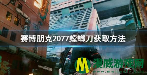 赛博朋克2077螳螂刀还有吗-螳螂刀获取方法与使用解析